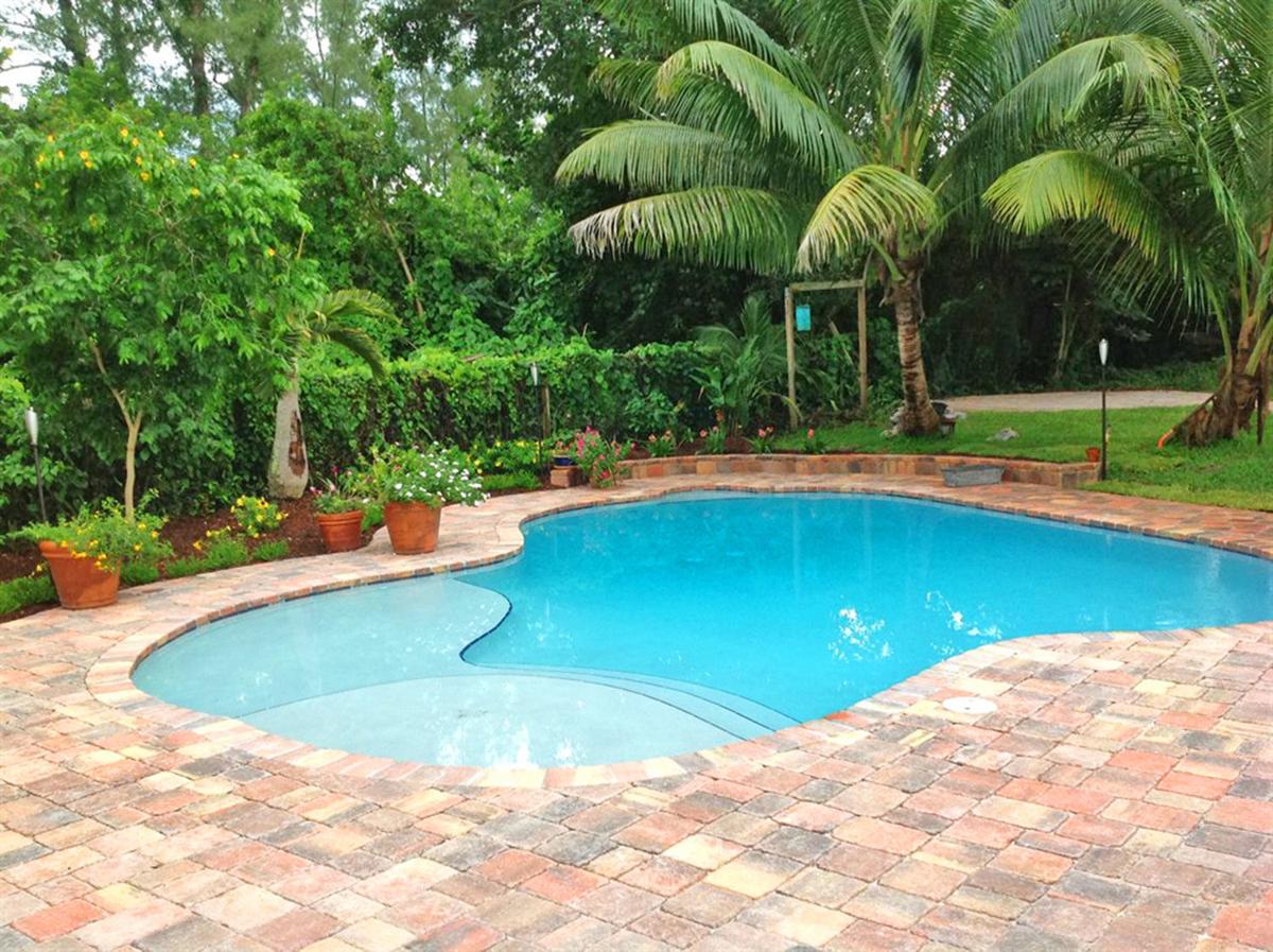 Living Smart Before You Dive Into A Saltwater Pool For Your Home