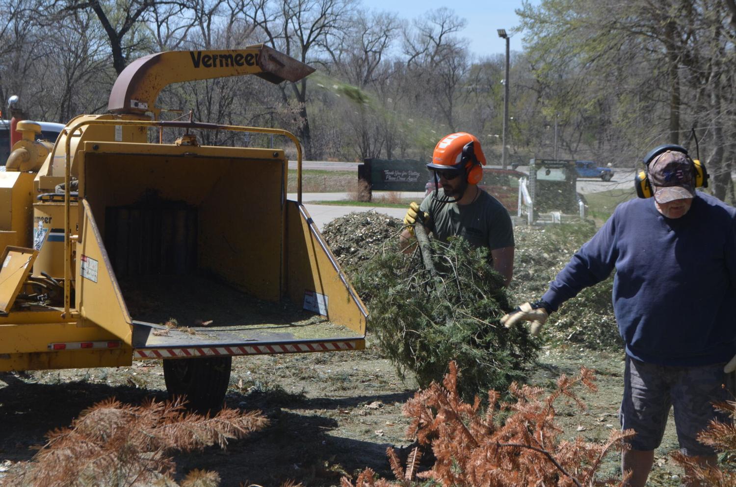 Nature Center to recycle Christmas trees after the holidays