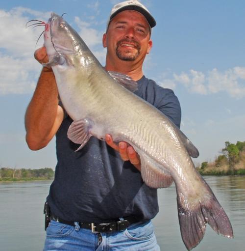 CarterCatfish.jpg