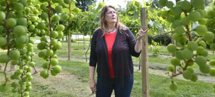 Betty Strong Encounter Center launches new program - Vimarsana News