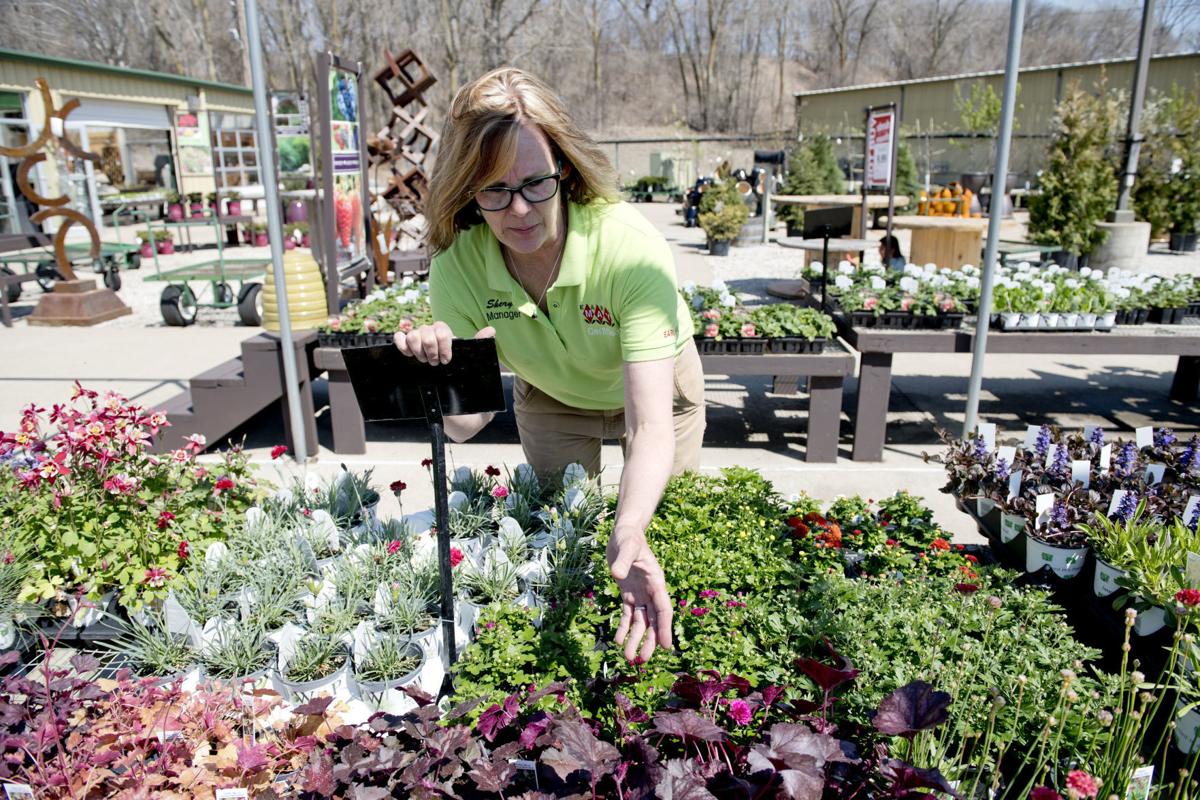 Earl May manager provides planting and watering tips for flowers and