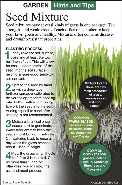 Grass Seed Mixtures Work In Various Lawn Conditions Siouxland Homes Siouxcityjournal Com
