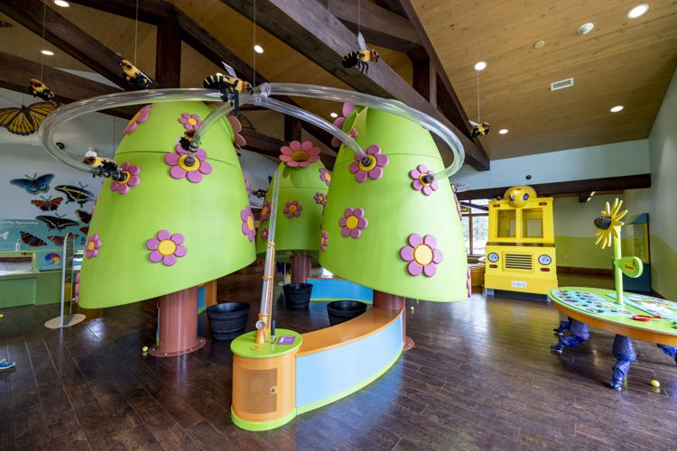 Dickinson County Nature Center bee exhibit