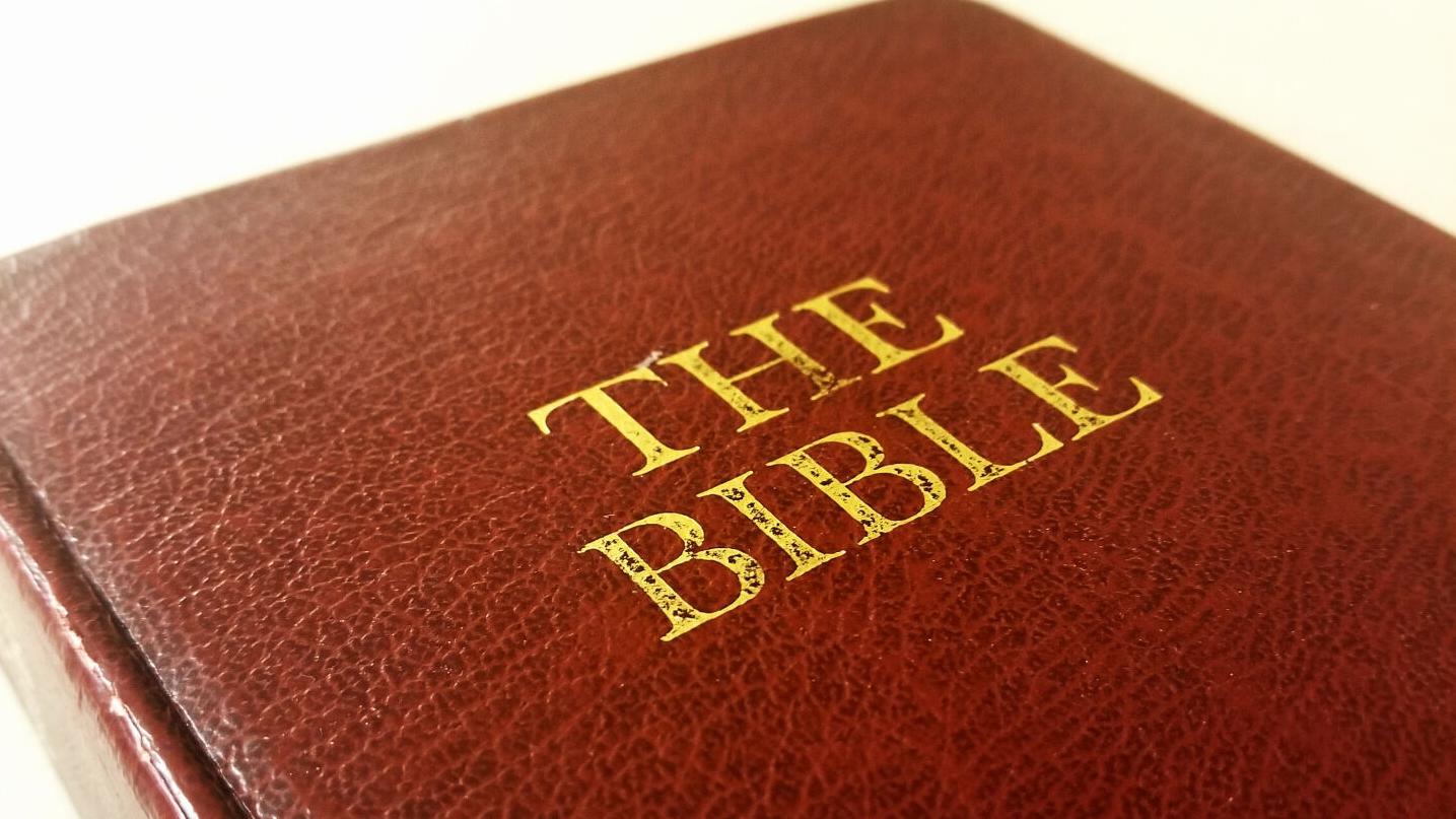 Today's Bible Verse: Philemon 1:3