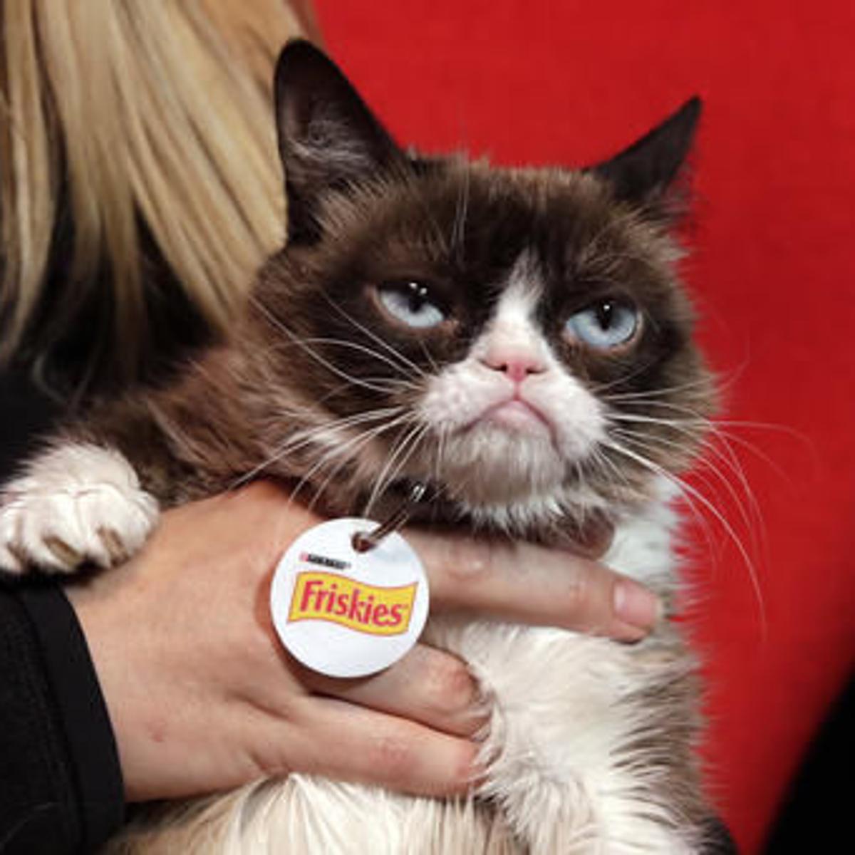 Grumpy Cat Counts Down To New Year With Top Pet Peeves Trends