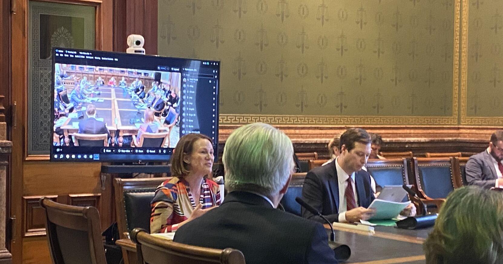 Health officials outline efforts to reduce maternal deaths in Iowa - Vimarsana News