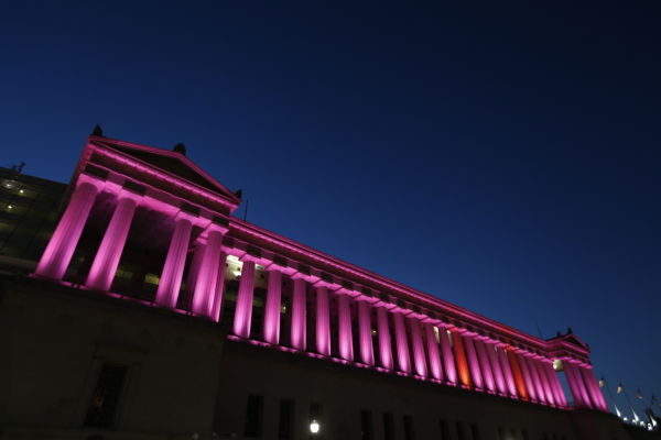 Local breast cancer patient honored at Soldier Field for Real Bears Fans Wear  Pink game