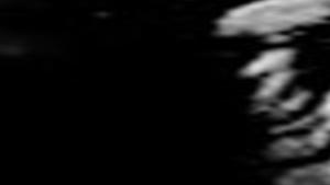Vanalia Mcneill Obituaries Siouxcityjournal Com