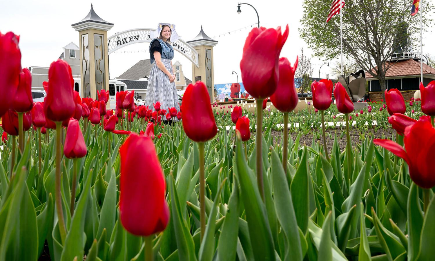 Orange City's 85th Tulip Festival blossoms with Windmill Park innovations