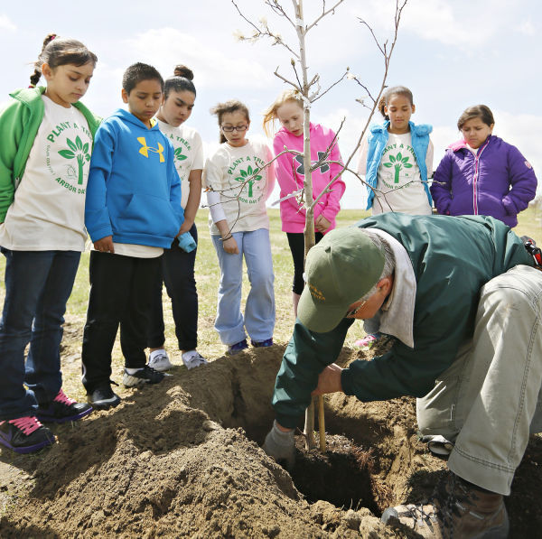 South Sioux City receives Tree City USA designation - Vimarsana News