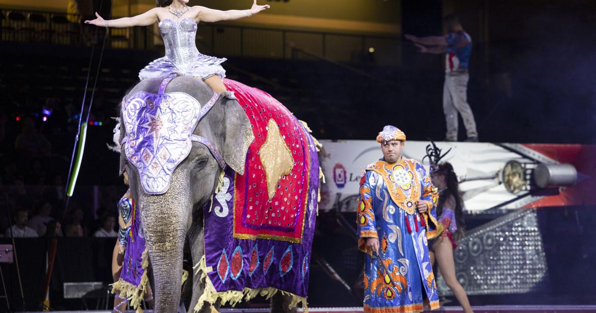PHOTOS Abu Bekr Shrine Circus performs in Sioux City