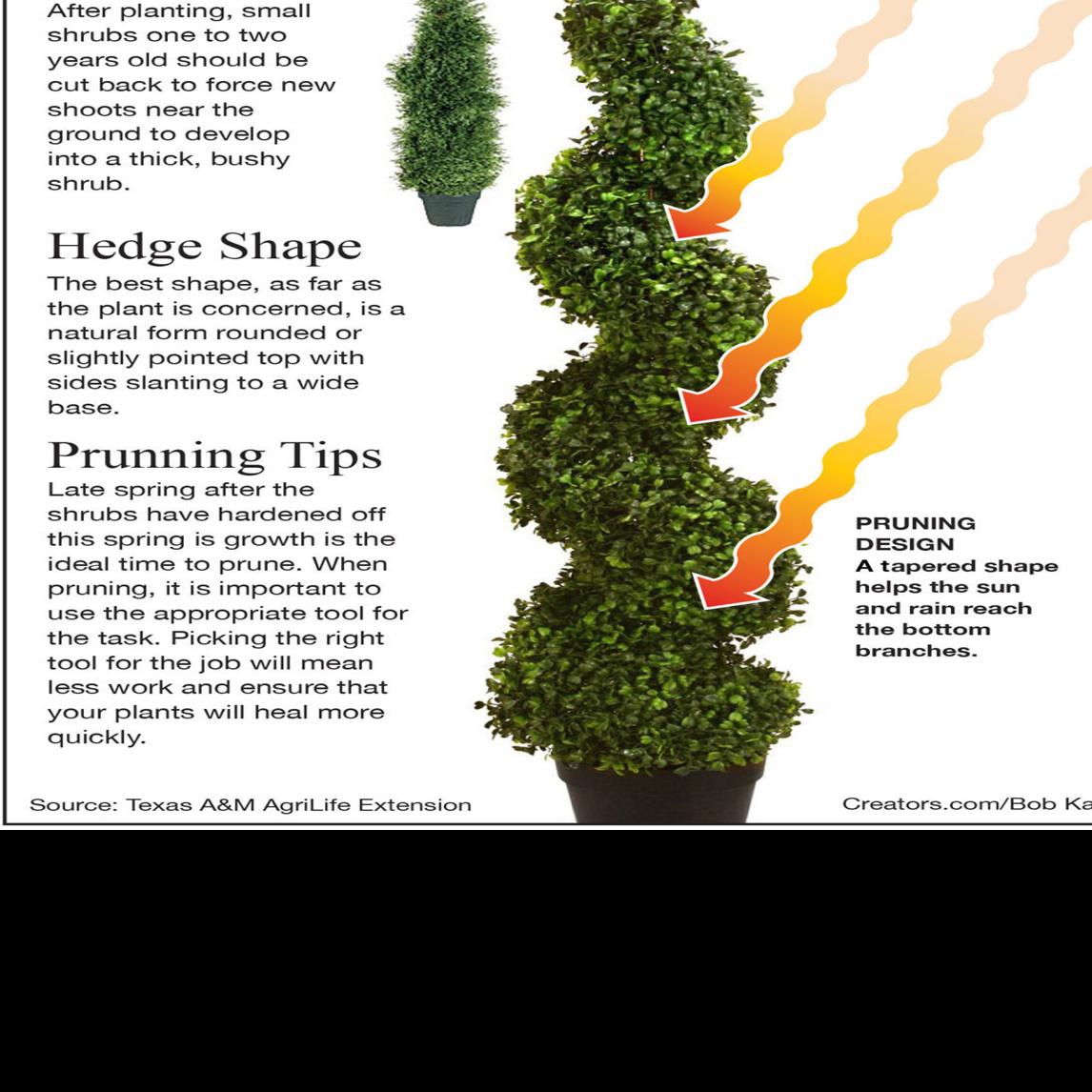Topiary Designs Siouxland Homes Siouxcityjournal Com