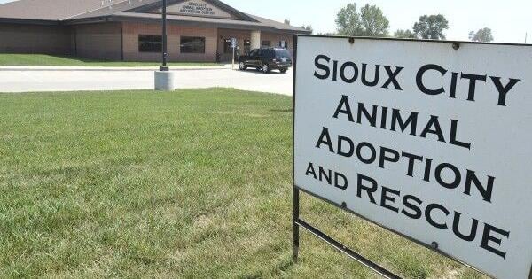 Sioux City animal control busts up fake dog-rescue ring