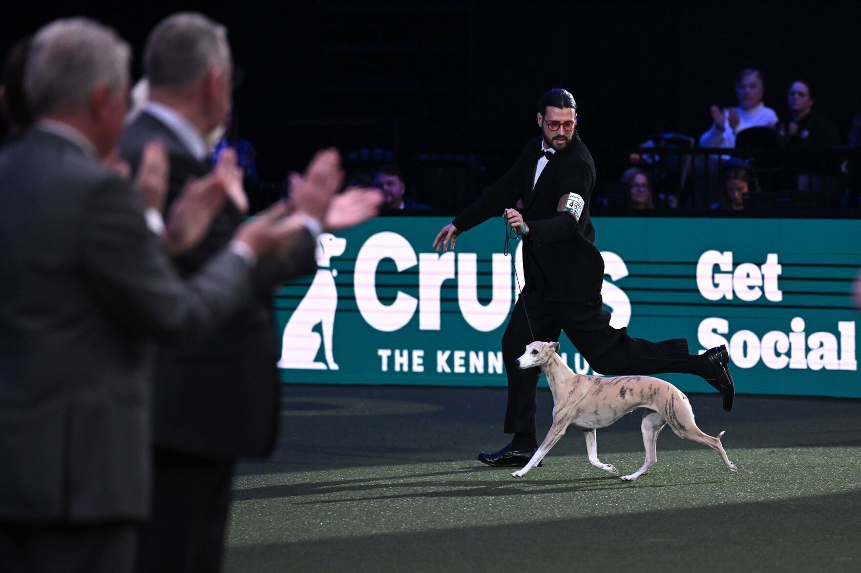 Whippet wins Best in Show at Crufts dog show