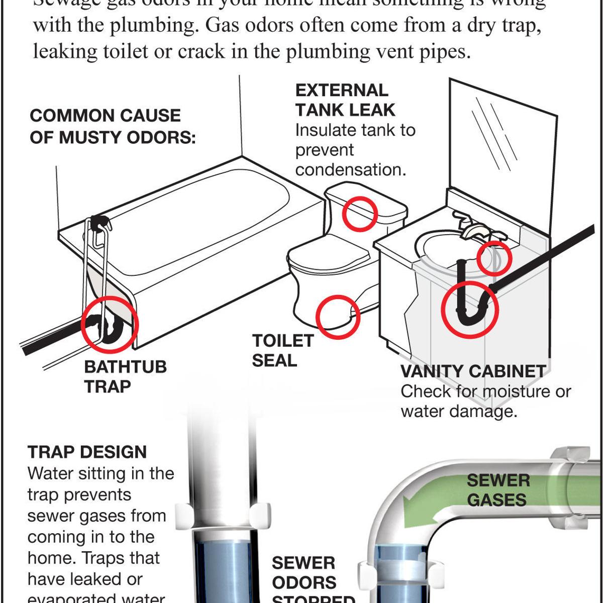 Find A Sewer Gas Odor In A Bathroom Siouxland Homes Siouxcityjournalcom Find A Sewer Gas Odor In A Bathroom Siouxland Homes Siouxcityjournalcom