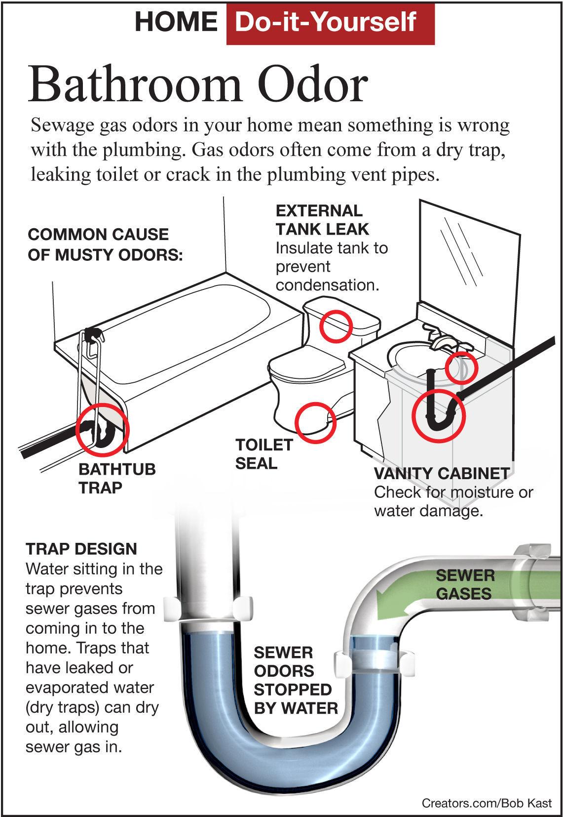 Find a sewer gas odor in a bathroom