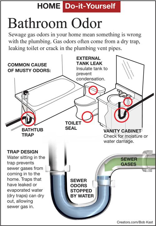 Find A Sewer Gas Odor In Bathroom Siouxland Homes Siouxcityjournal Com - Why Does My Bathroom Smell Like The Sewer