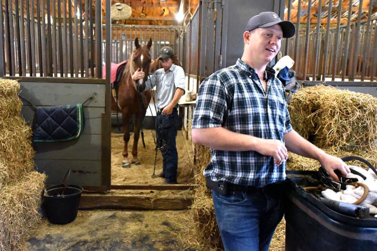 7 Wonders Stables