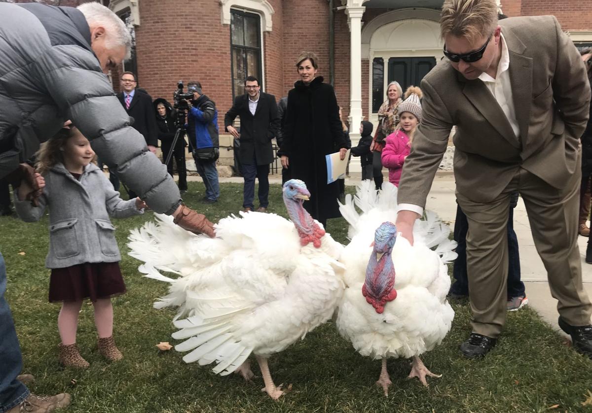 Five years later, Iowa turkey farmers reflect on an outbreak that