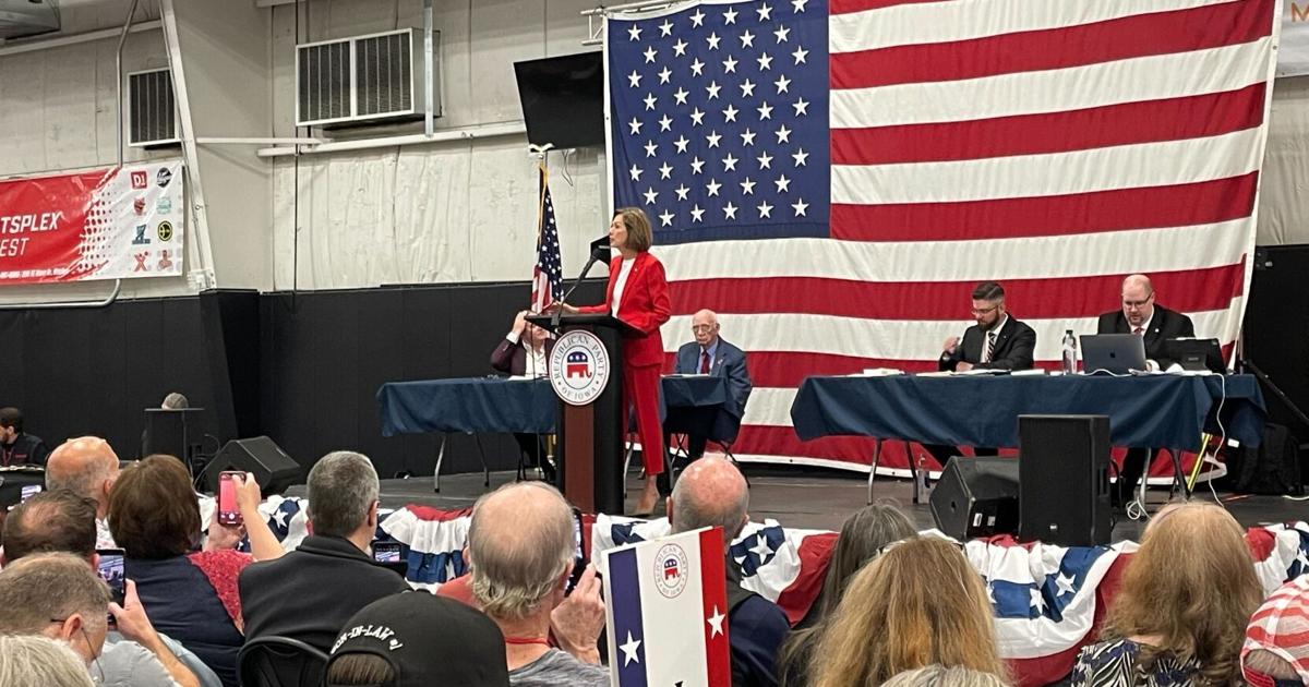 Dem Rally Iowa Iowa Republicans call to rally around Trump at state convention