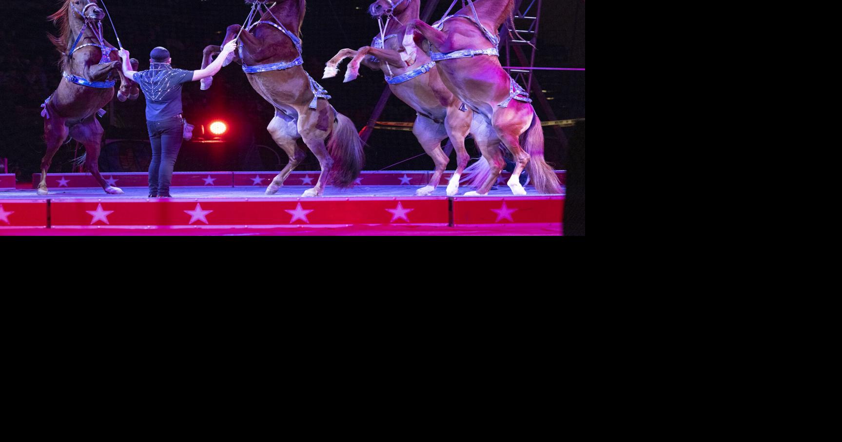 Abu Bekr Shrine Circus returns for the 71st year