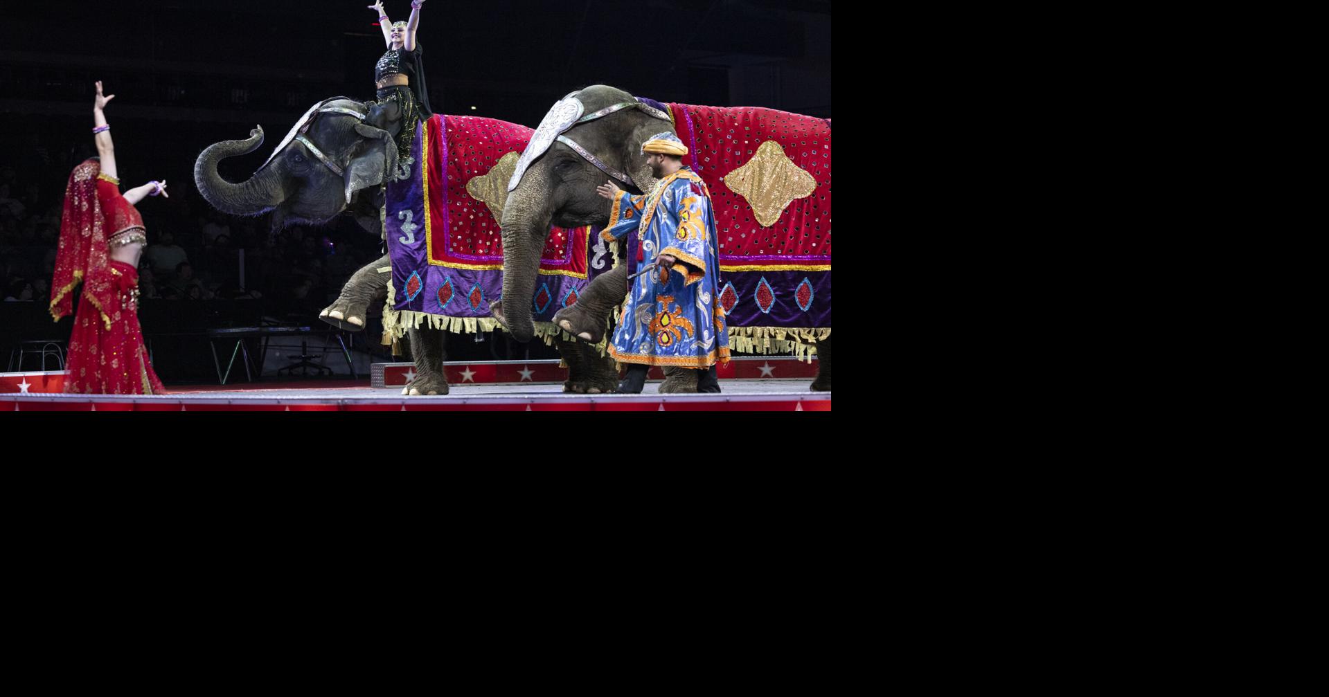Abu Bekr Shrine Circus 2024
