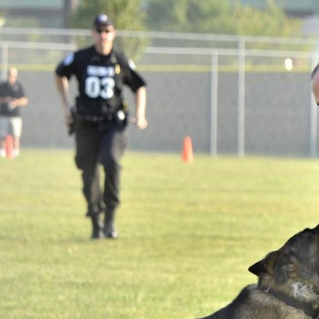Le Mars Iowa Police Officer Dog Honored At Event Crime Courts Siouxcityjournal Com