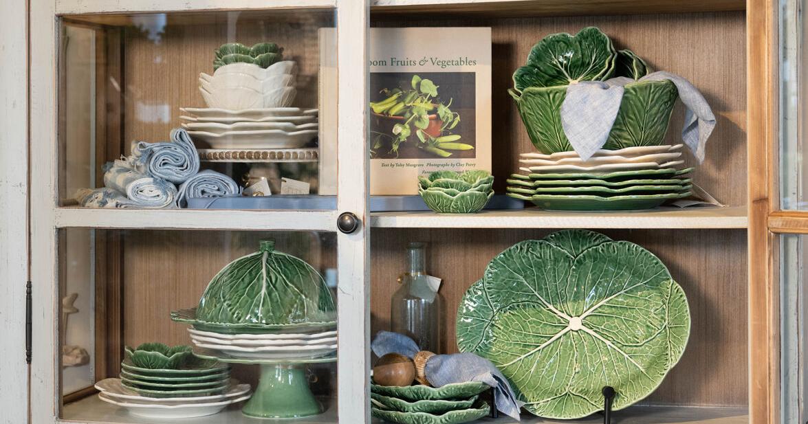Uncovering the beauty and elegance of the cabbage plate