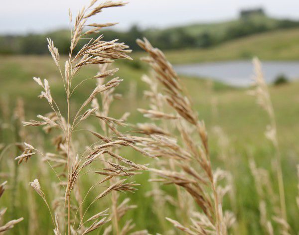 Stone State Park new land