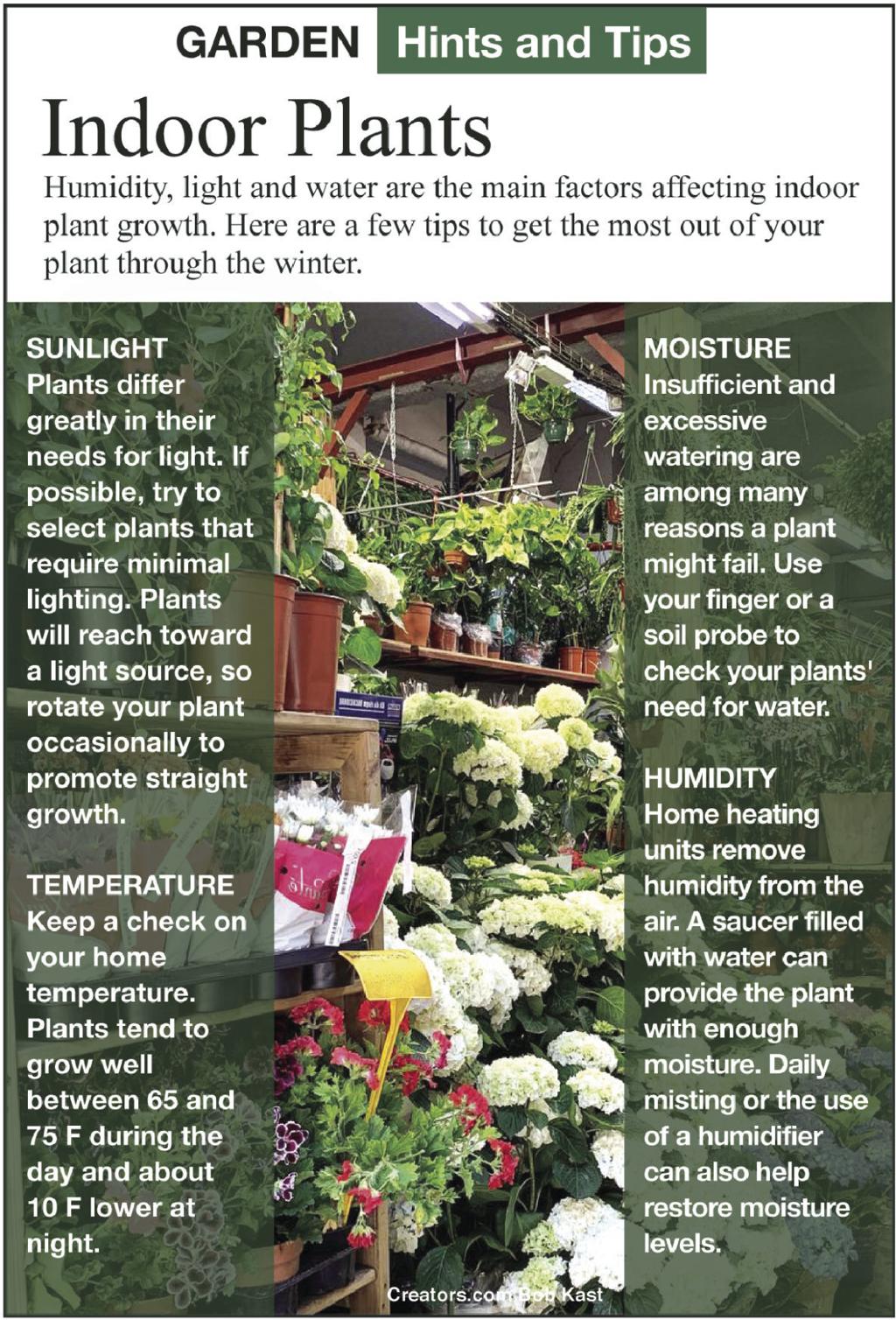 Encourage More Millennials To Grow Indoor Plants Siouxland Homes