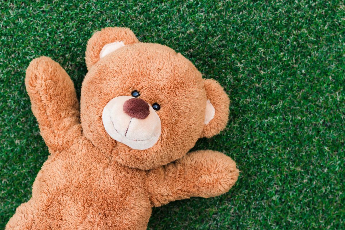 Is It Ok To Hold On To Your Childhood Comfort Object Health Medicine And Fitness Siouxcityjournal Com
