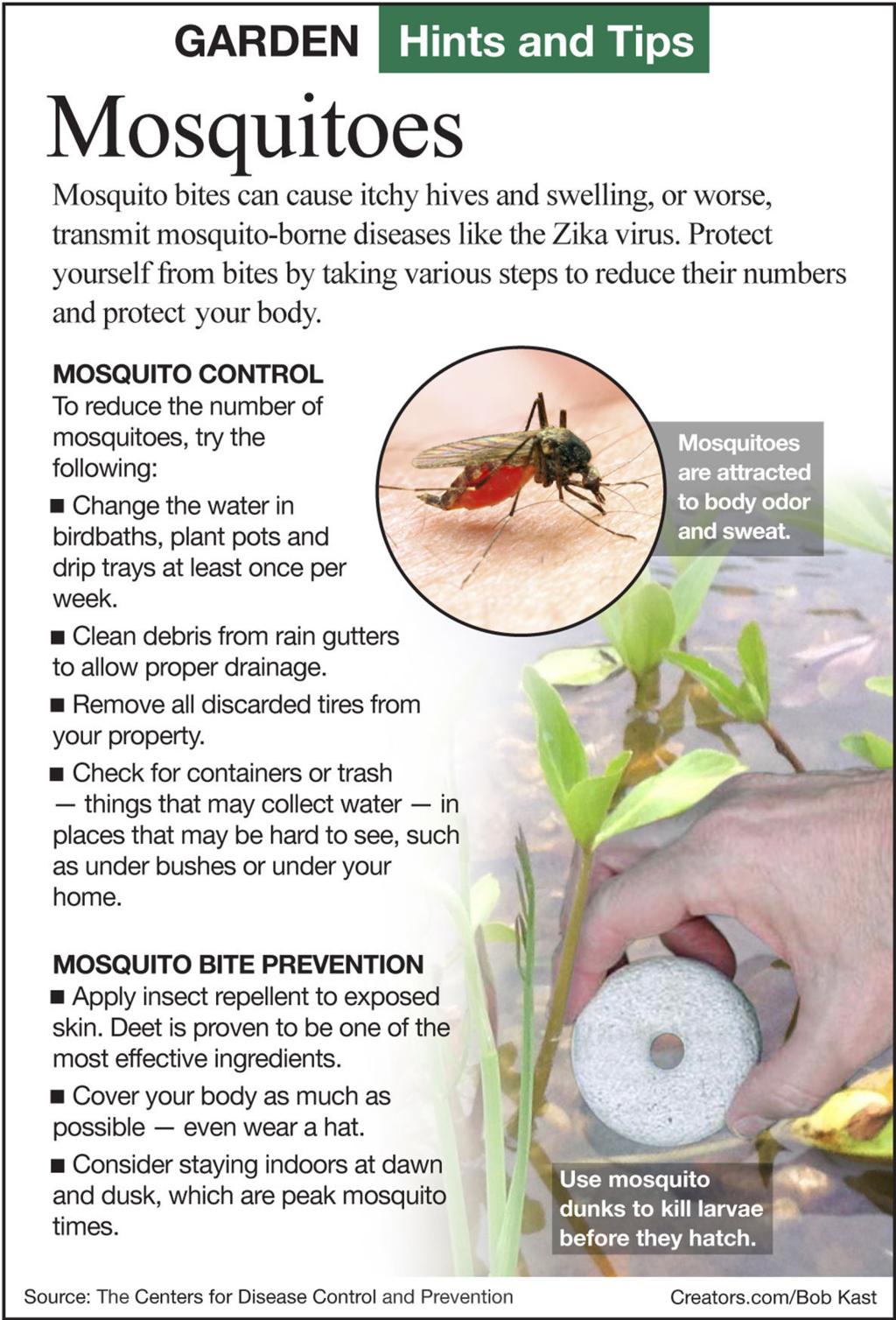 Mosquito Prevention Siouxland Homes Siouxcityjournal Com