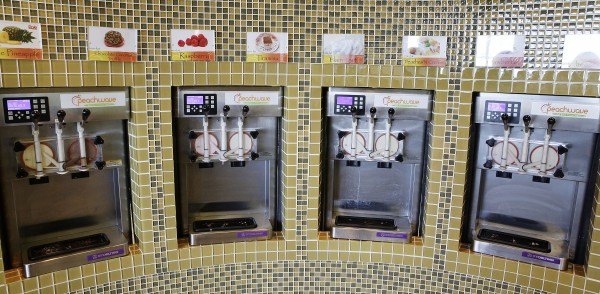 Progress 2012 Peachwave Yogurt 