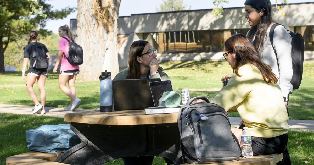 Many Siouxland colleges report year-over-year growth, some hitting record-breaking numbers