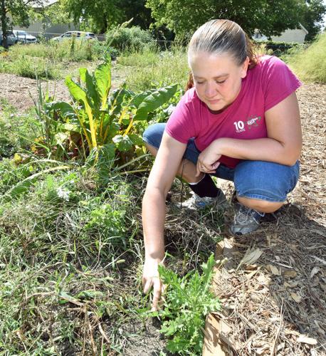 Fall garden work