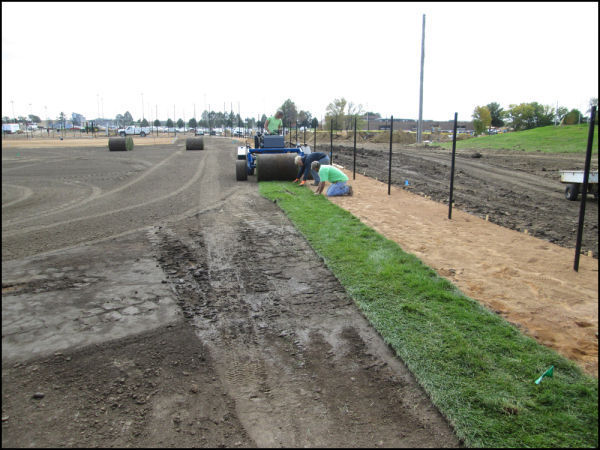Sod installation