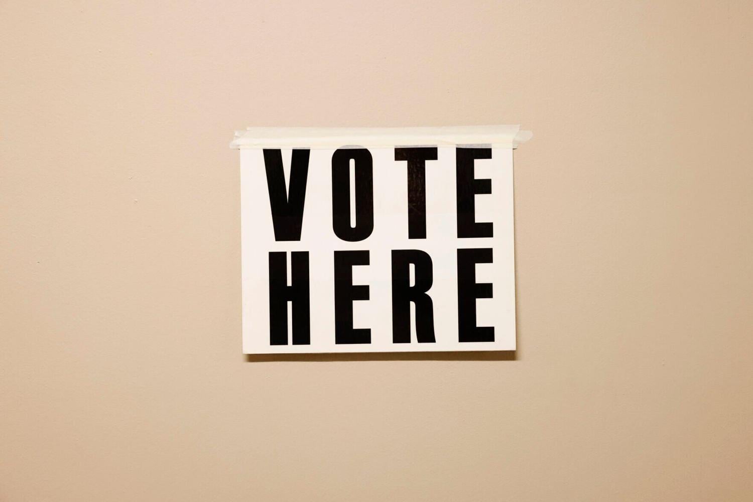 What's on the ballot in the Dakota County, Nebraska primary?
