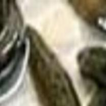 A Spring That Stinks Even For Leeches Latest News Siouxcityjournal Com You tell a handful of investors or you can raise too little money, so you don't get far enough along to raise your next round of funding.