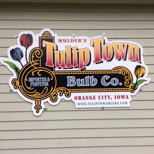 Tulip Town Bulb Co.