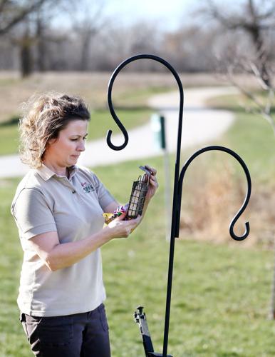 Bird feeders at Adams Homestead and Nature Preserve