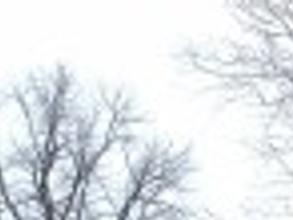 Old Times Not Forgotten Civil War At 150 A1 Siouxcityjournal Com