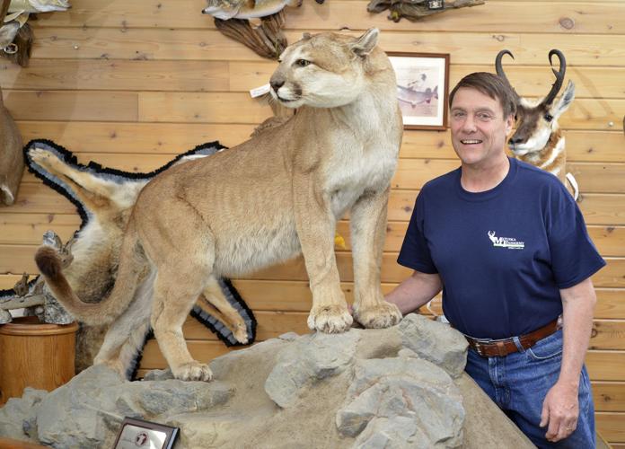 Taxidermy Tom Matuska