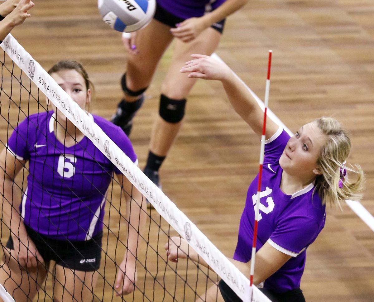 Photos Dakota Valley vs MobridgePollock South Dakota state volleyball