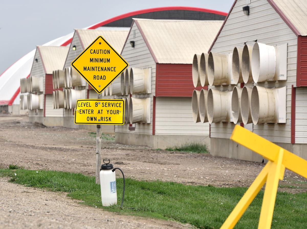 Bird flu outbreaks roil Northwest Iowa Iowa news