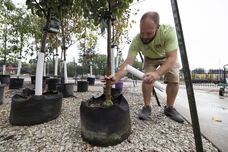 Fall landscaping trends