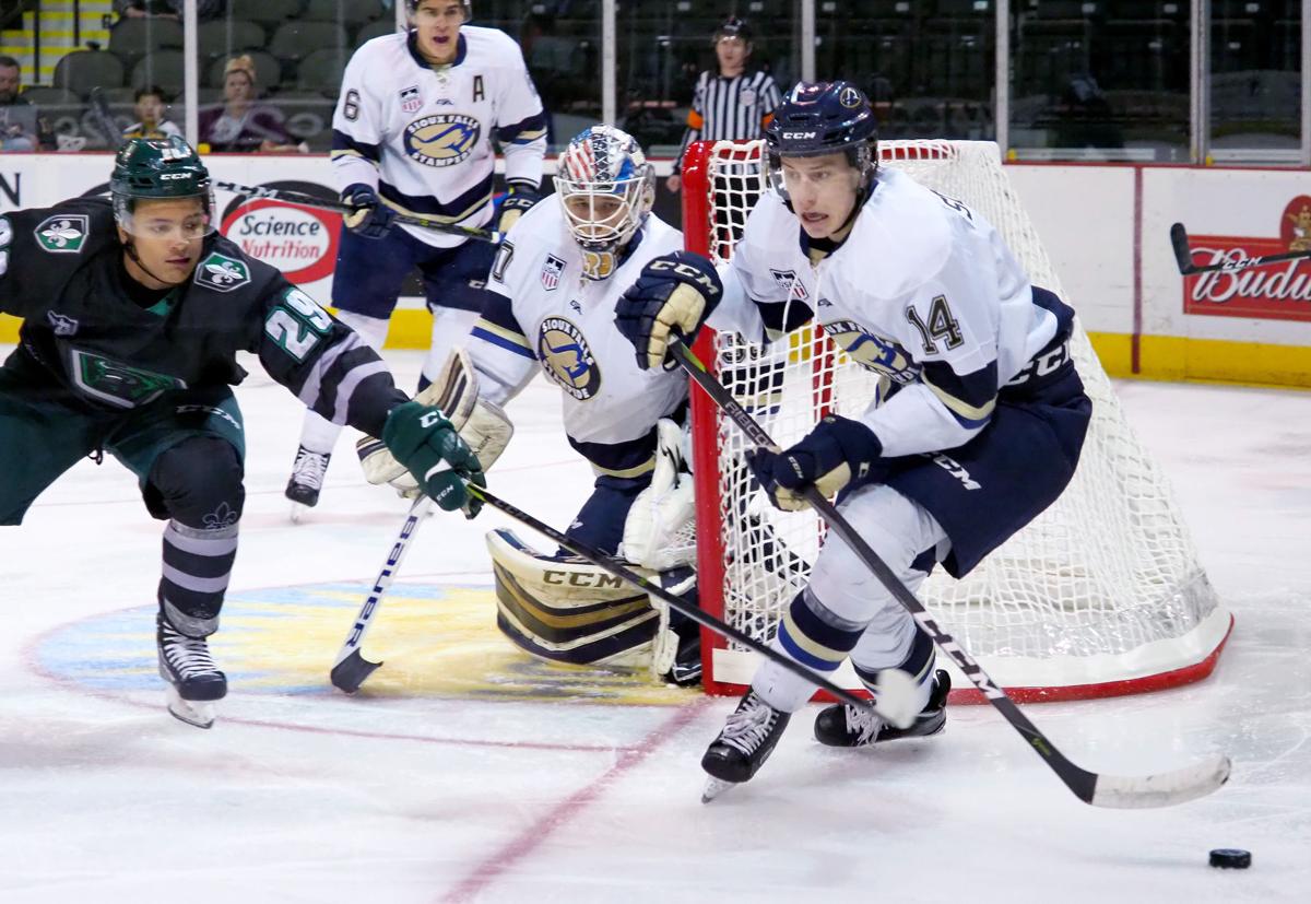 Musketeers edge Stampede in home opener Musketeers