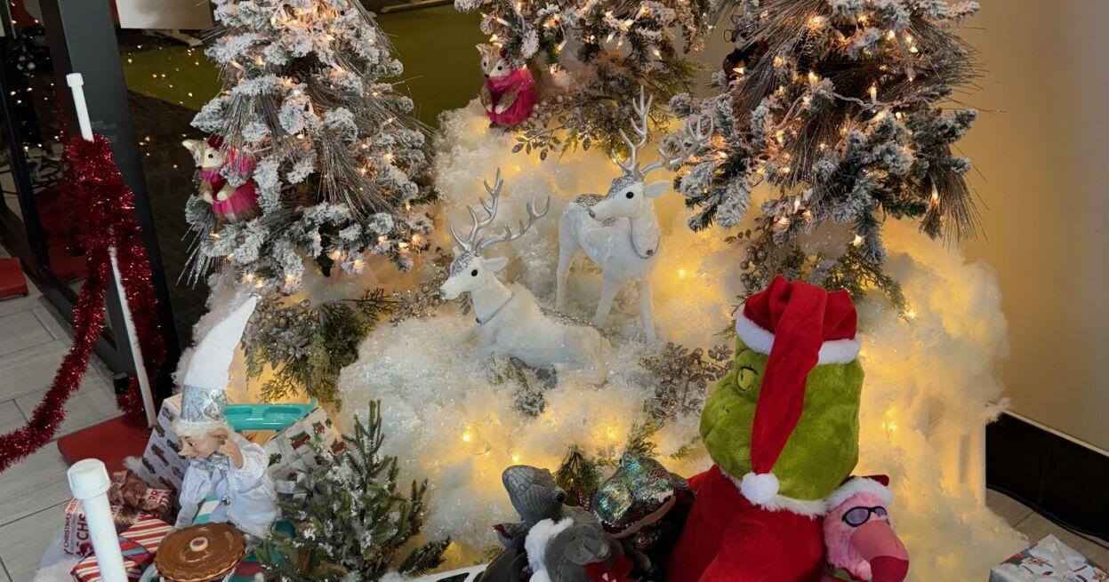 Sioux City's Festival of Trees raises nearly $18,000 - Vimarsana News