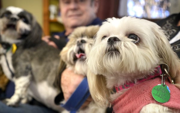 Deadline Nears For Sioux City Pet Licenses