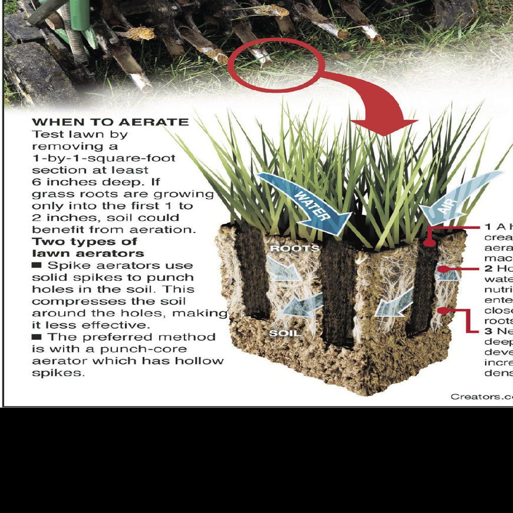Lawn Aeration Is Needed For Compacted Soil Siouxland Homes