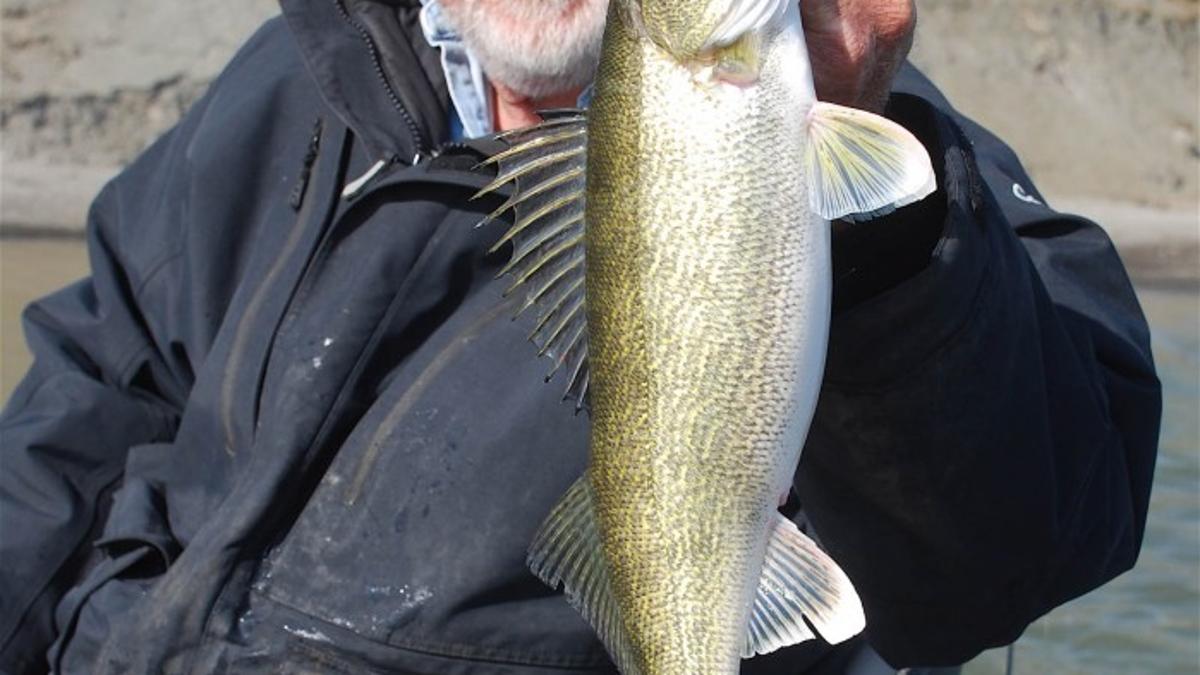 Walleyes Biting On Cheyenne River Arm Outdoors Siouxcityjournal Com
